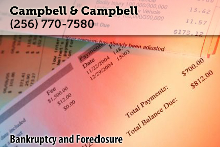 campbell
